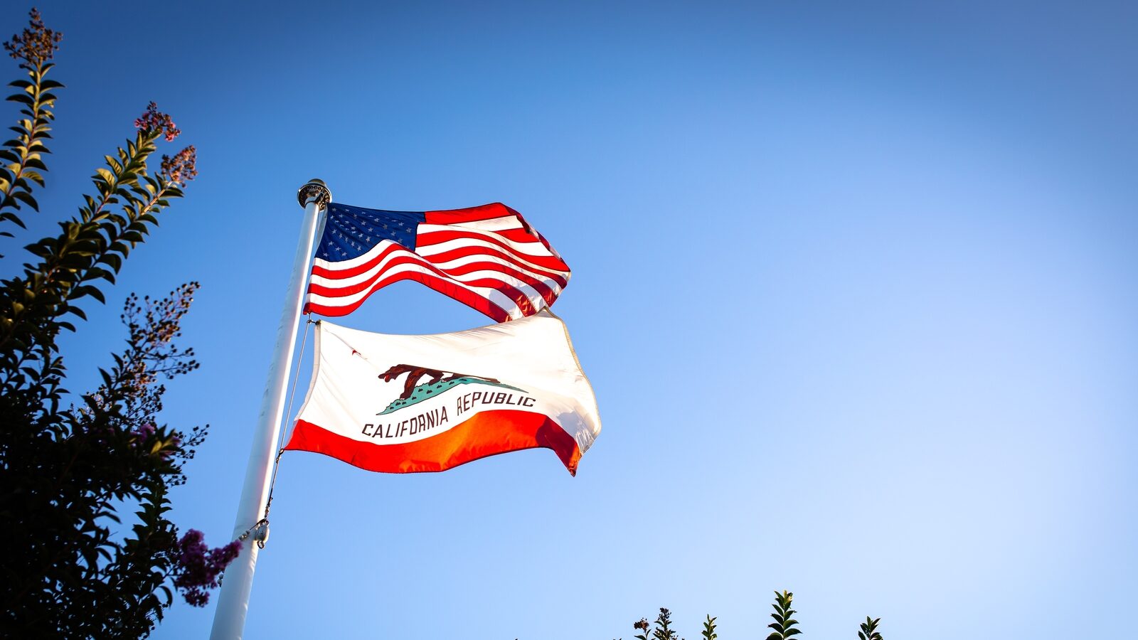 The,Flags,Of,The,United,States,And,The,State,Of California Scuole